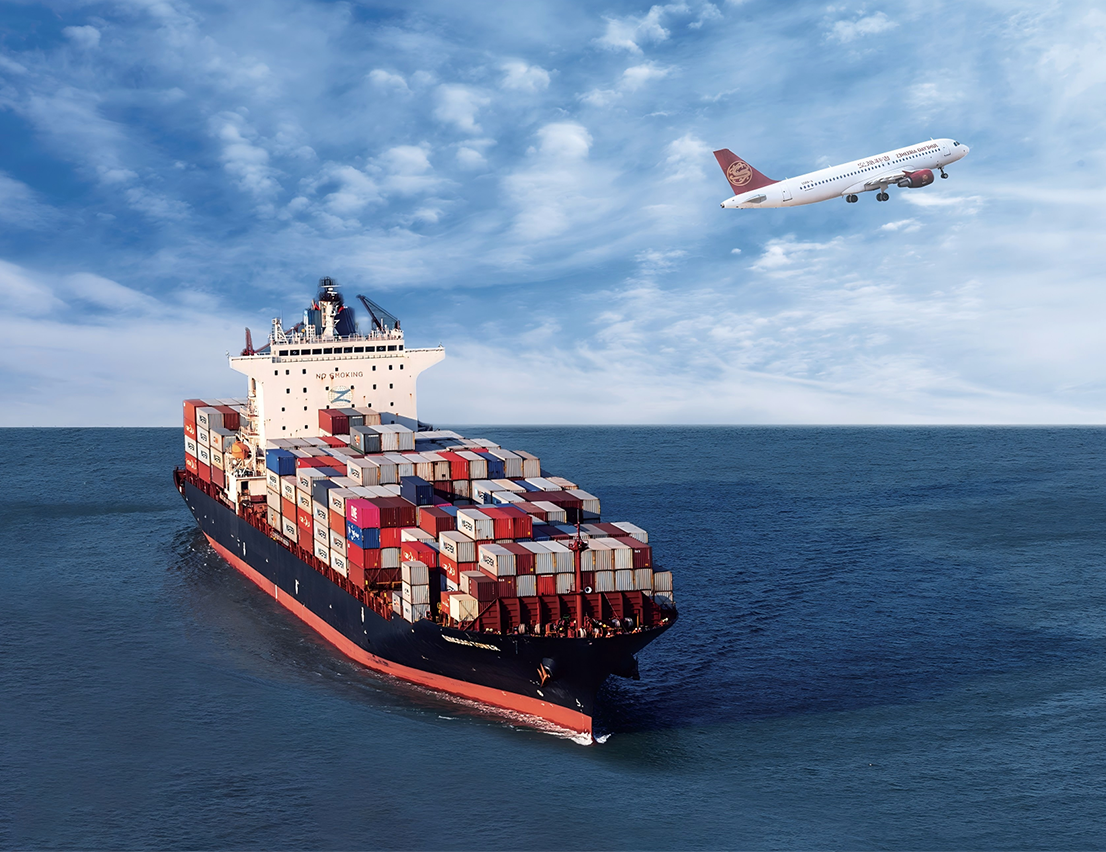 Logistics Coordination & Customs Compliance